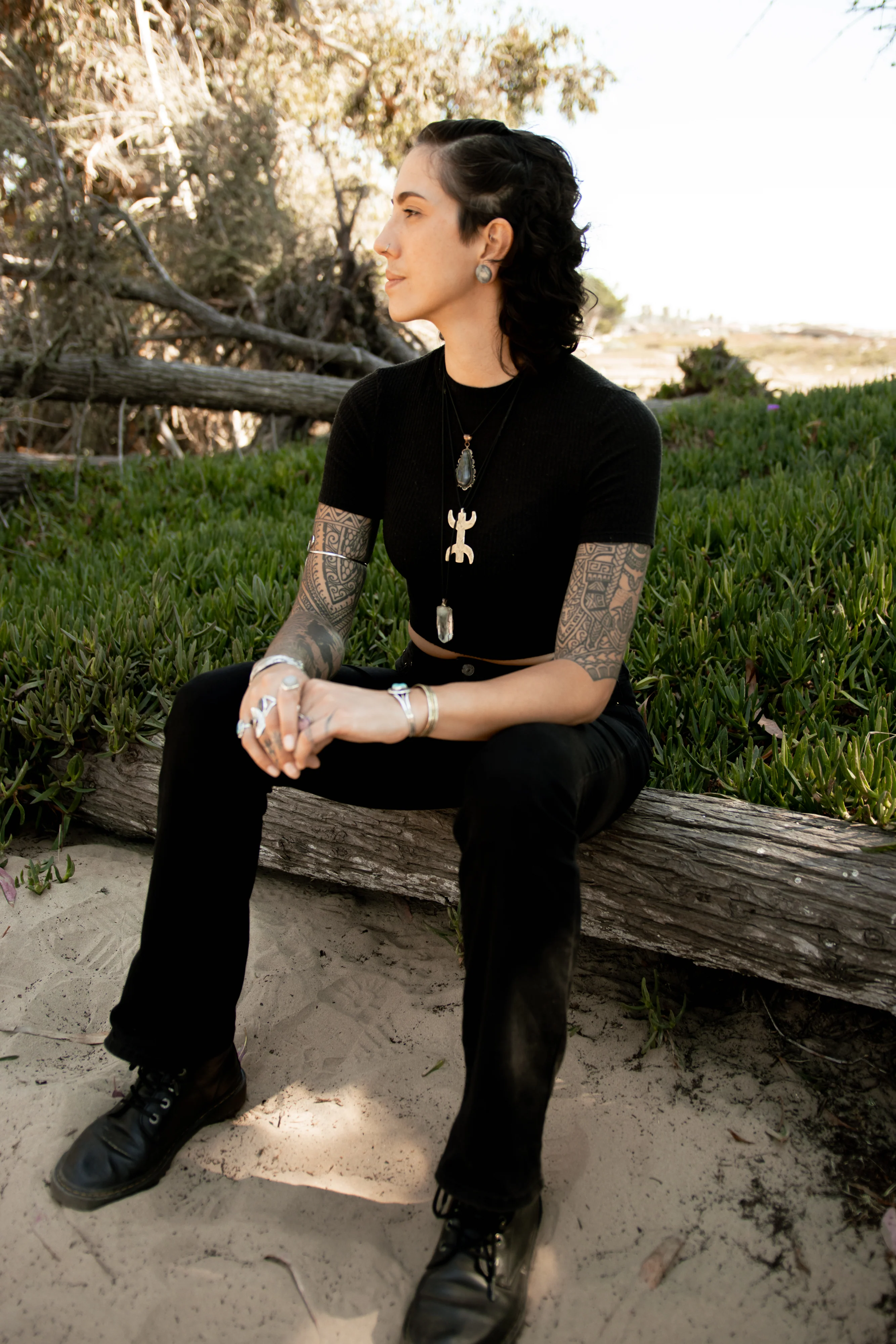 Grey Labradorite Stone Plugs - Mrs Treak