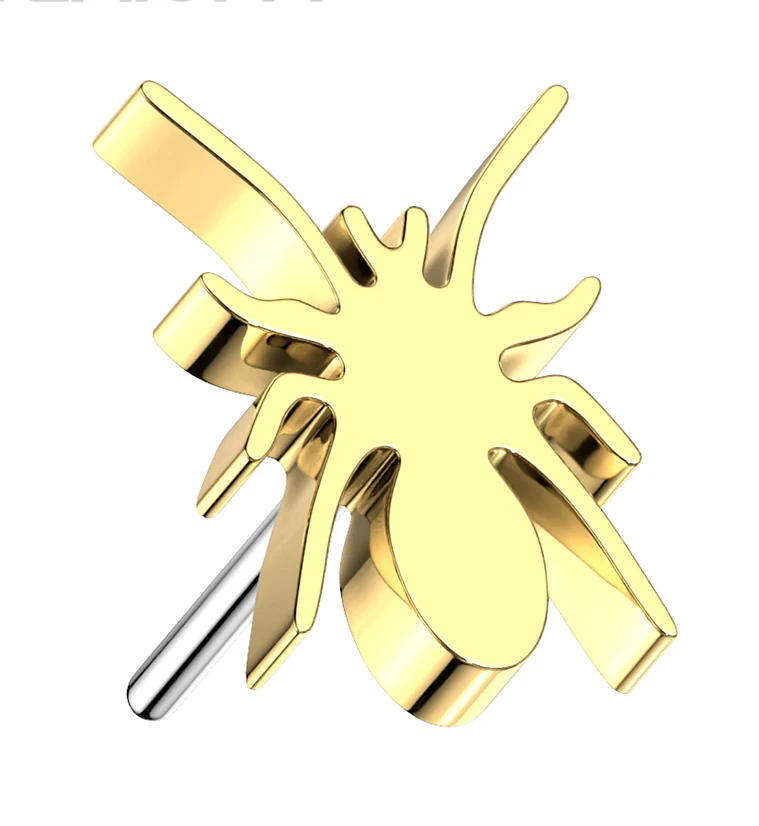 Gold PVD Spider Threadless Titanium Top - Mrs Treak