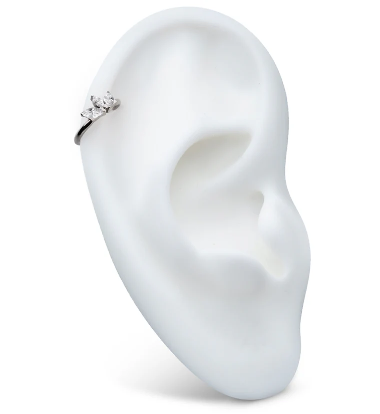 Empress Clear CZ Titanium Hinged Segment Ring - Mrs Treak