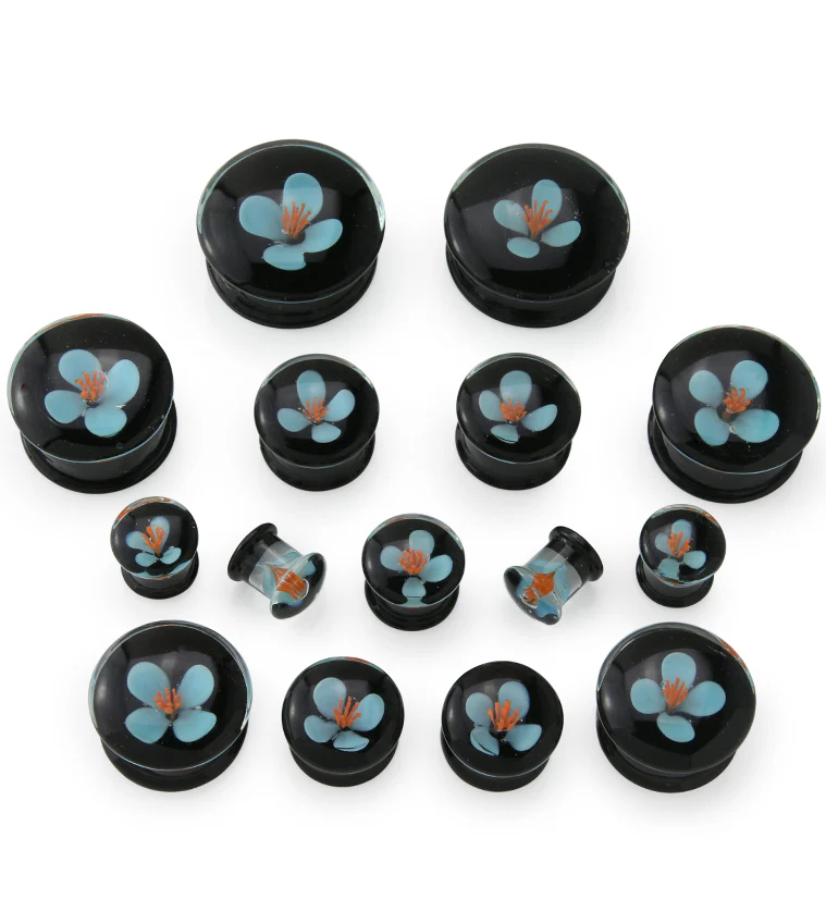 Blue Poppy Flower Black Glass Double Flare Plugs - Mrs Treak