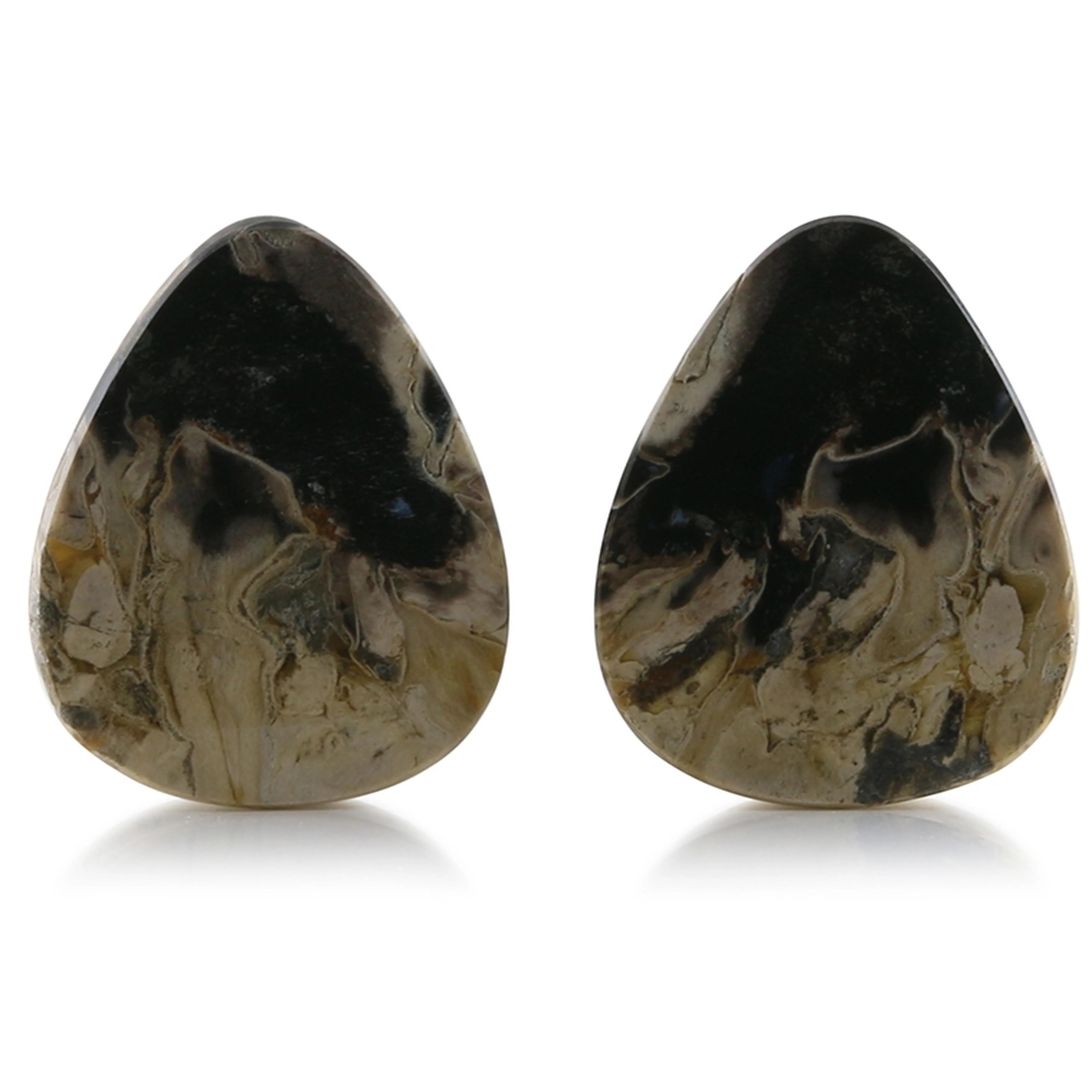 Petrified Palm Root Stone Teardrop Plugs 1 & 1-32