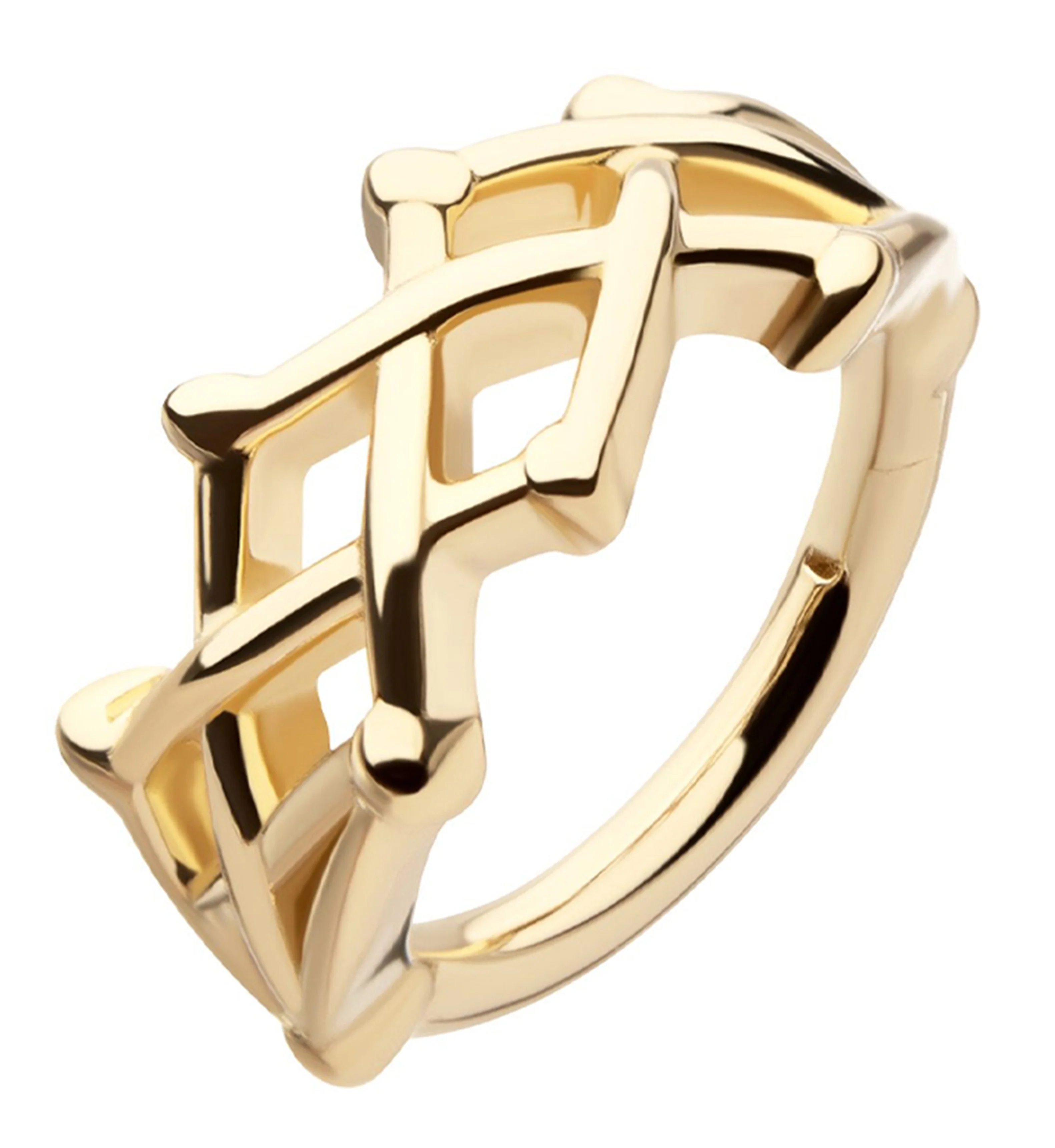 14kt Gold Thorn Crown Hinged Segment Ring - Mrs Treak
