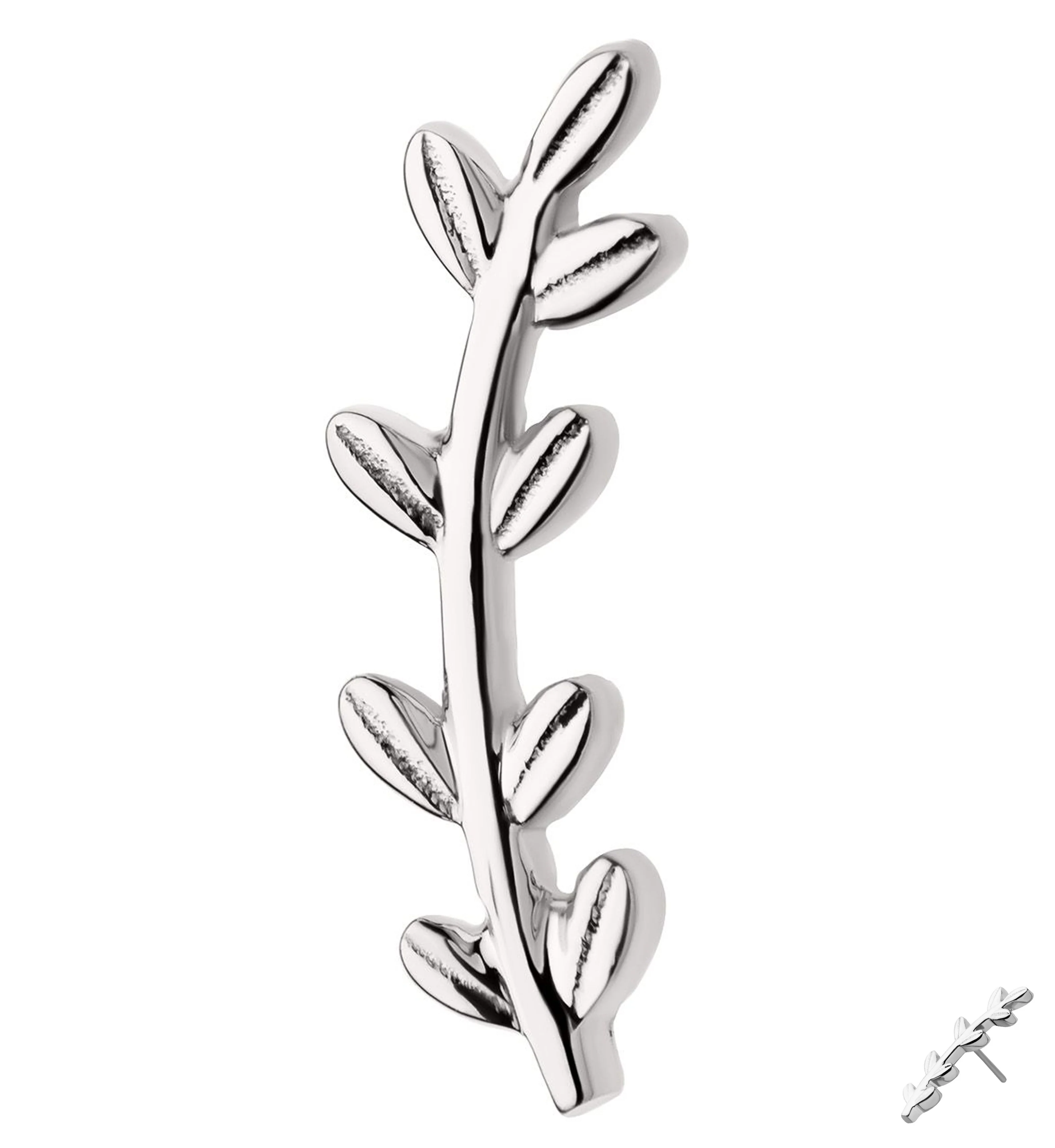 14kt White Gold Olive Leaf Threadless Top - Mrs Treak