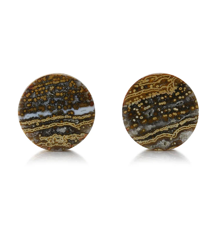 Ocean Jasper Stone Plugs 9/16