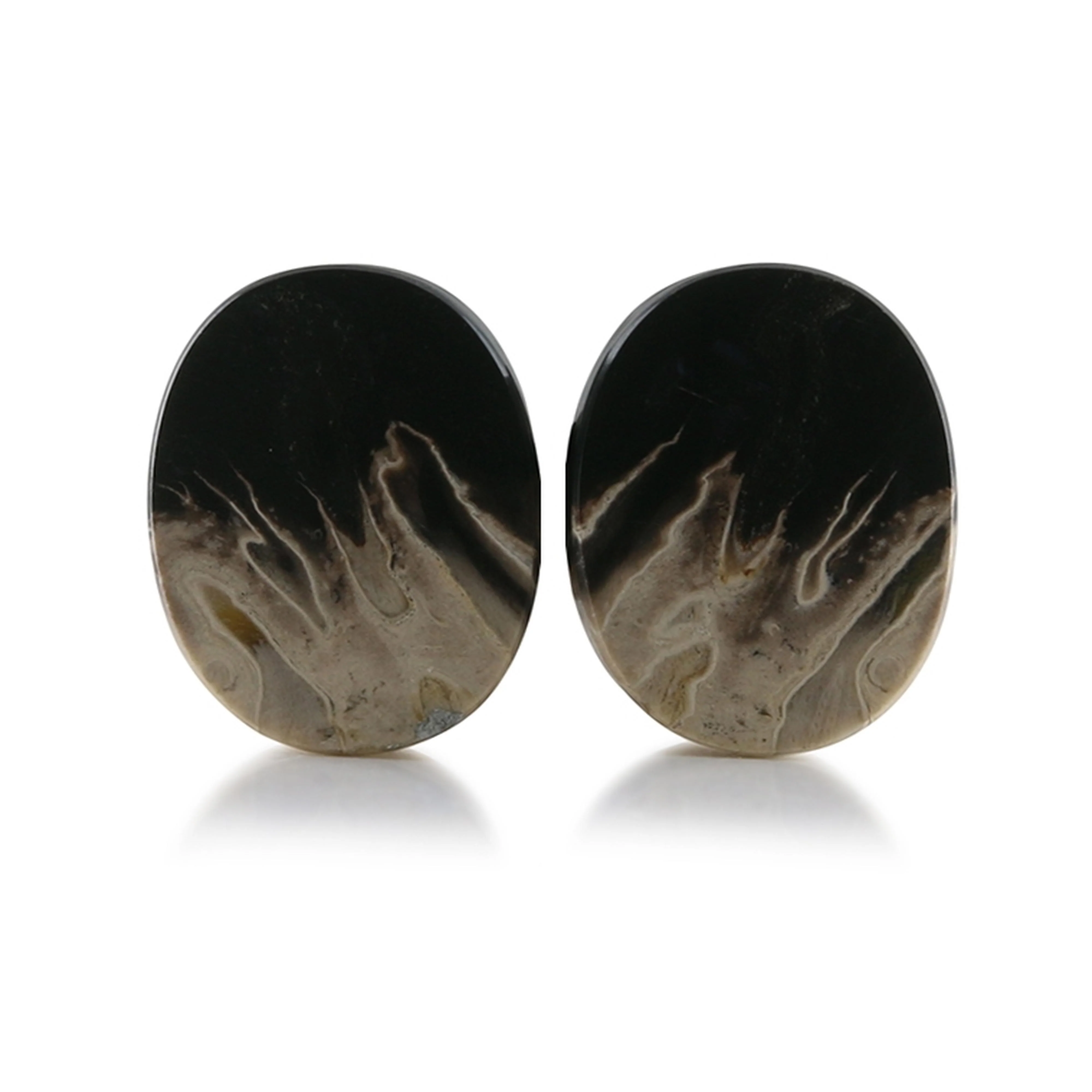Petrified Palm Root Stone Oval Plugs 7-8