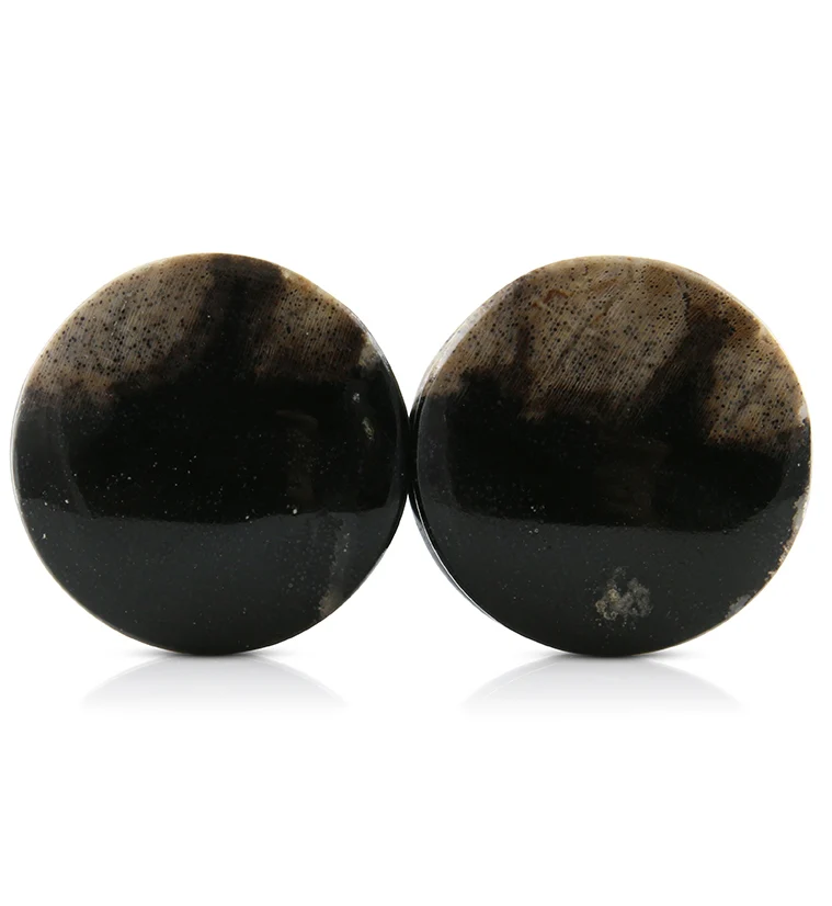 Petrified Wood Plugs 1 Inch (25mm) Version 3 - Mrs Treak