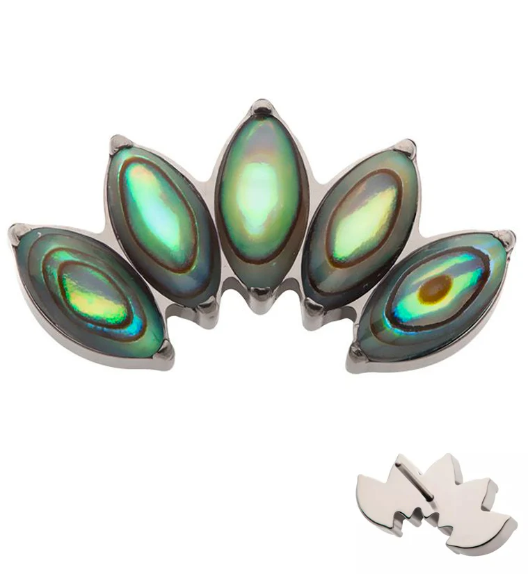 Half Crown Abalone Stone Threadless Titanium Top - Mrs Treak