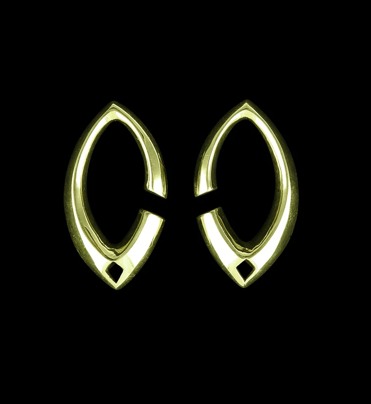 Elliptic Brass Ear Weights - Mrs Treak