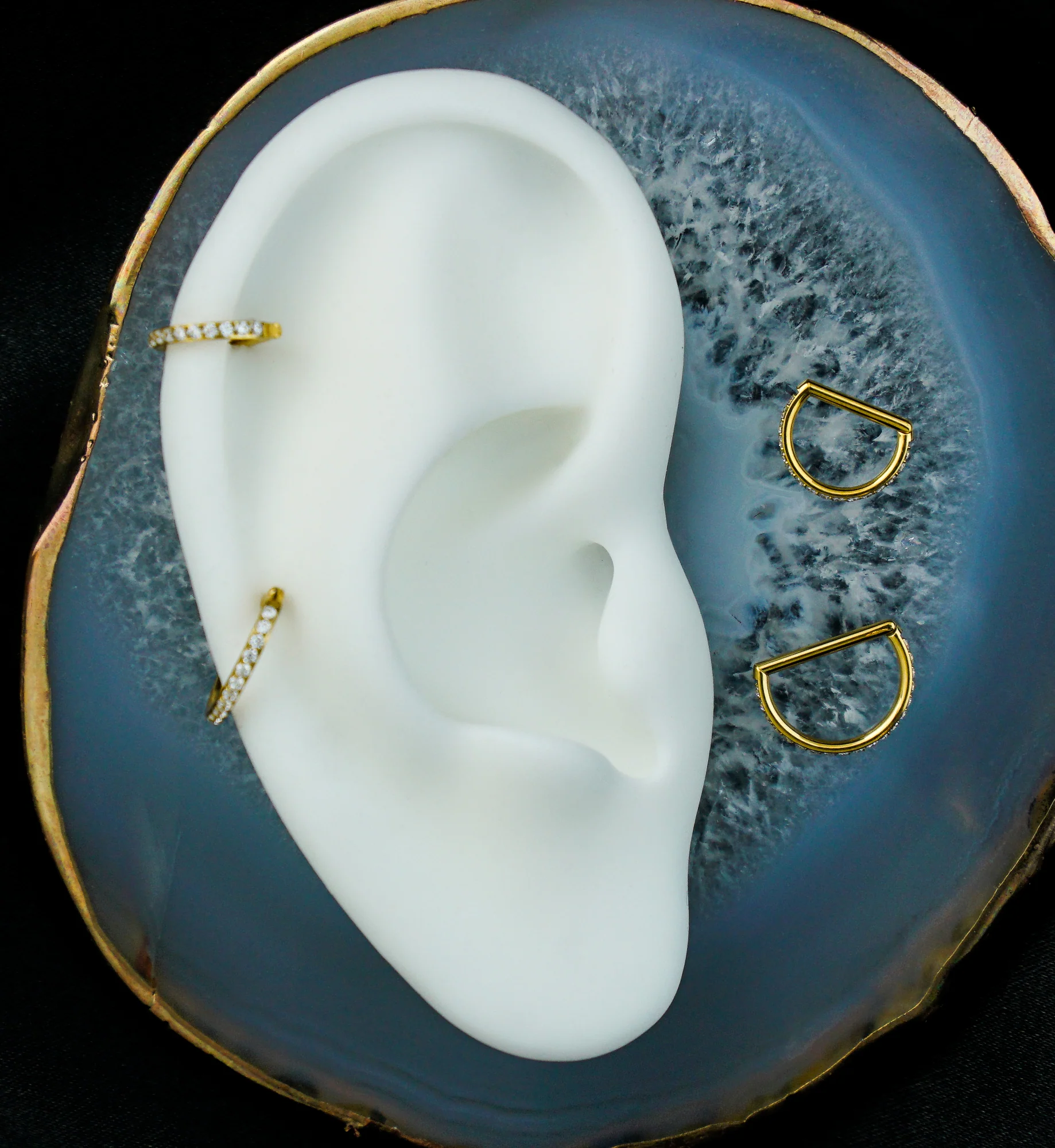 Gold PVD Outward Facing Deca Clear CZ Titanium D-Shaped Hinged Segment Ring - Mrs Treak