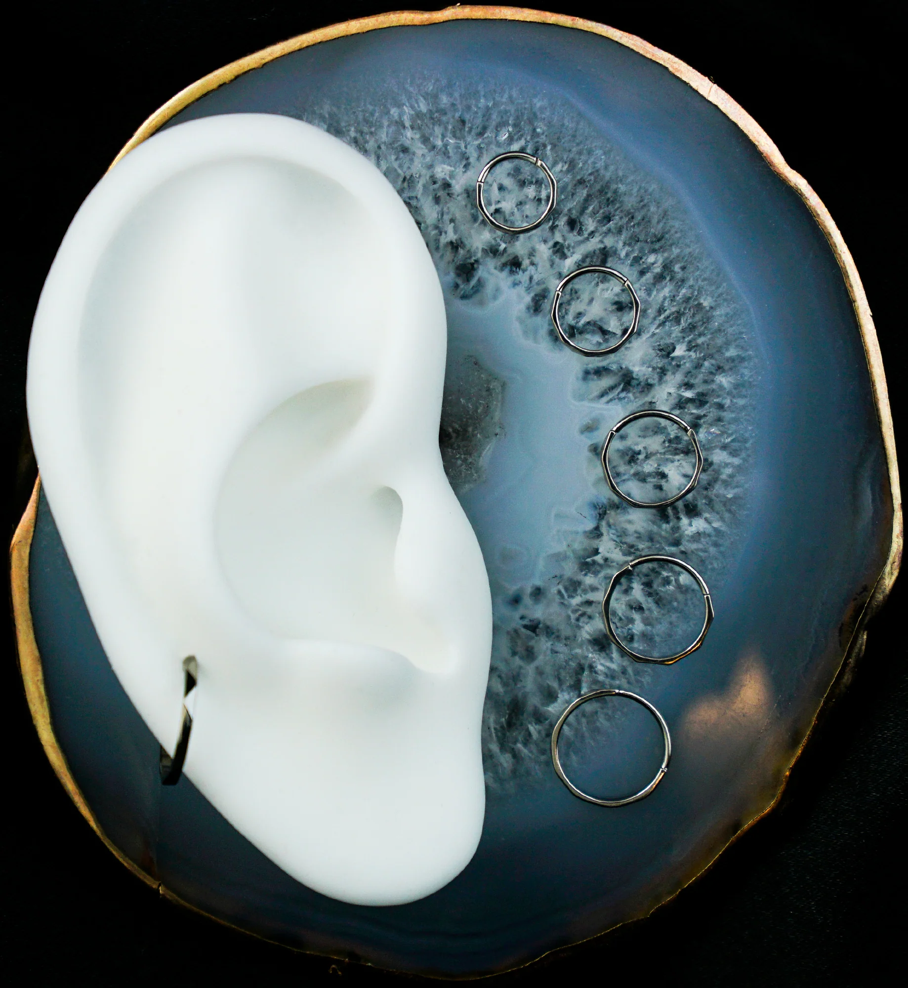 Thin Faceted Titanium Hinged Segment Ring - Mrs Treak