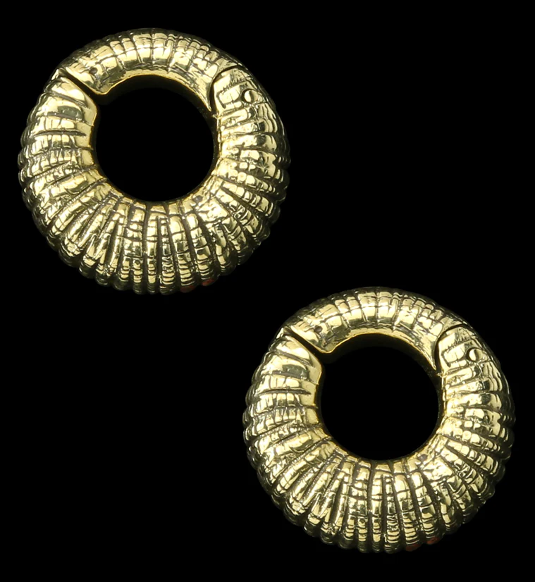 Rivel Brass Hinged Ear Weights - Mrs Treak