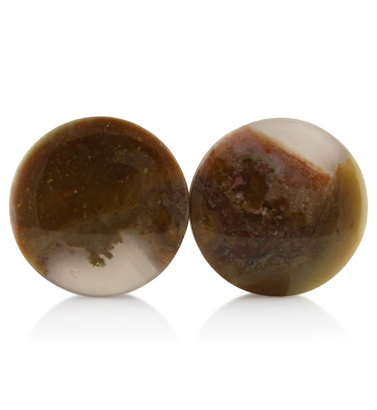 Blue Forest Petrified Wood Plugs 1 Inch (25mm) Version 3 - Mrs Treak