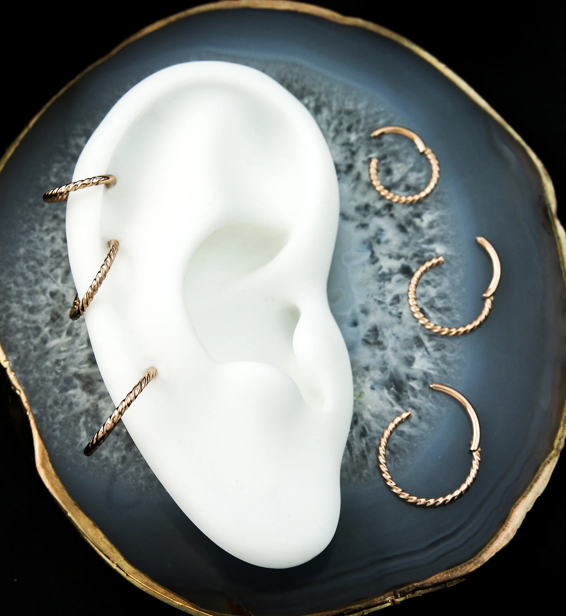 Rose Gold PVD Twisted Titanium Segment Ring - Mrs Treak