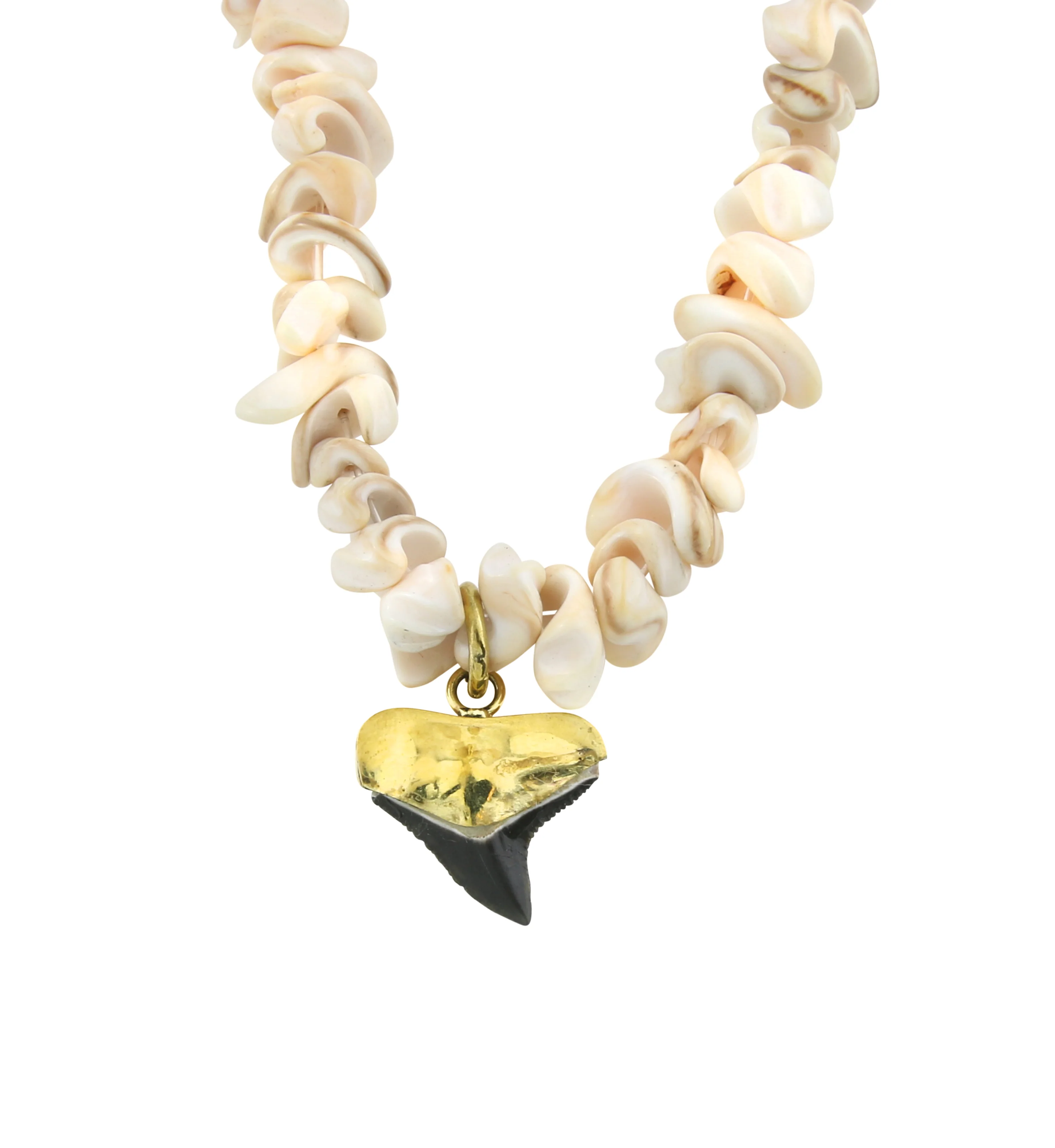 Brass Fossilized Shark Tooth Seashell Necklace - Mrs Treak