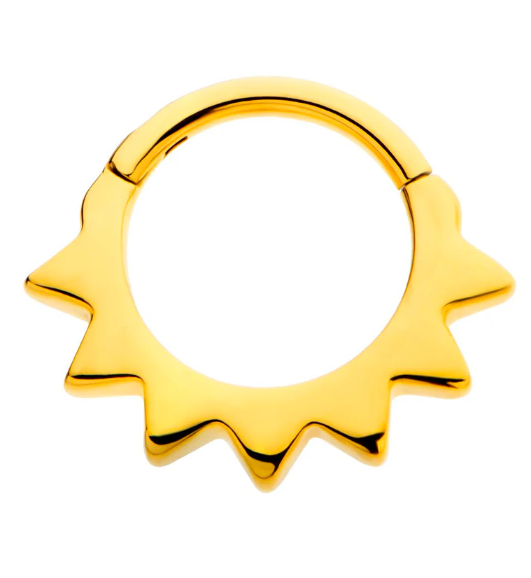 Gold PVD Beam Stainless Steel Hinged Segment Ring - Mrs Treak