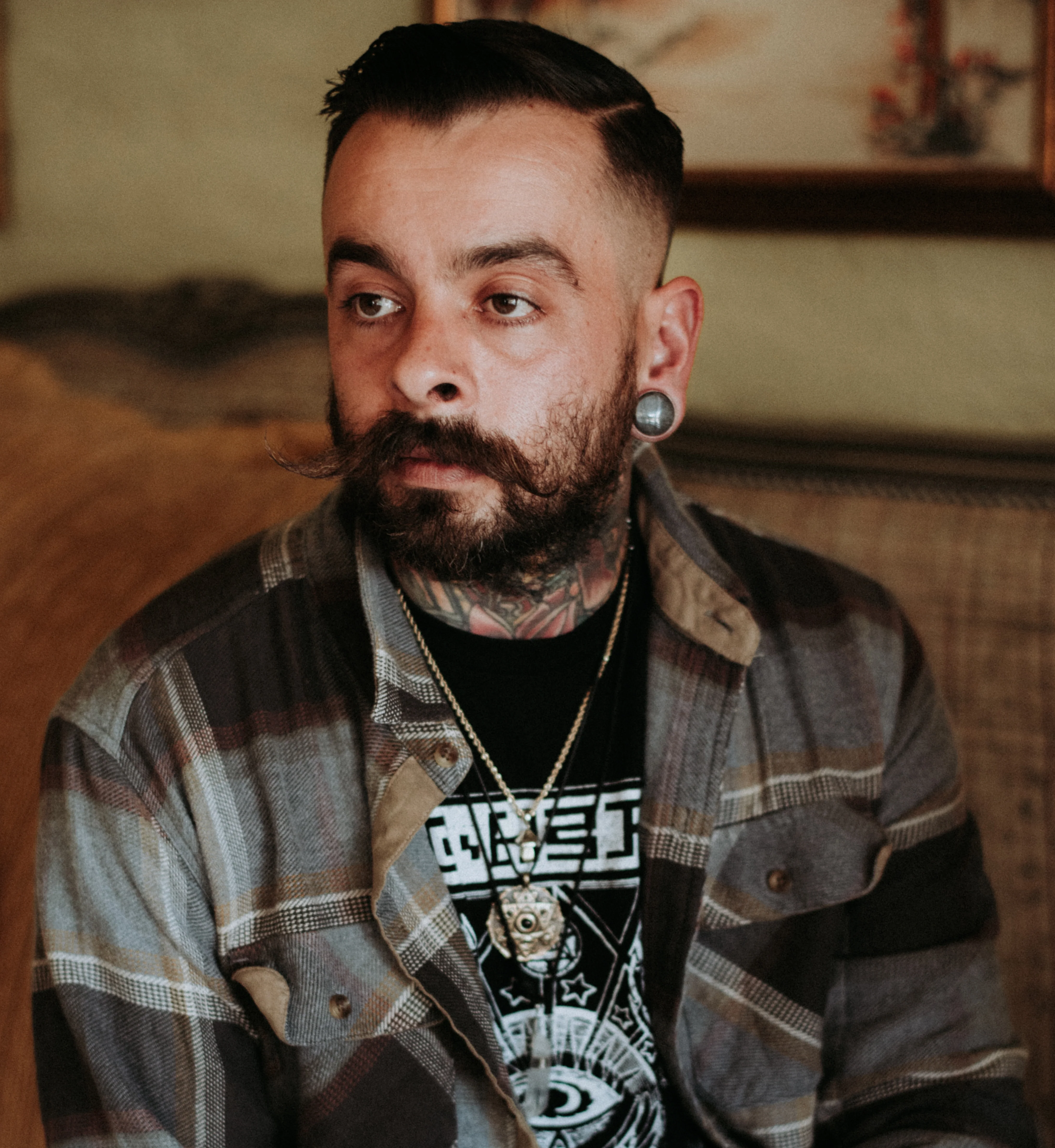 Golden Obsidian Stone Plugs - Mrs Treak