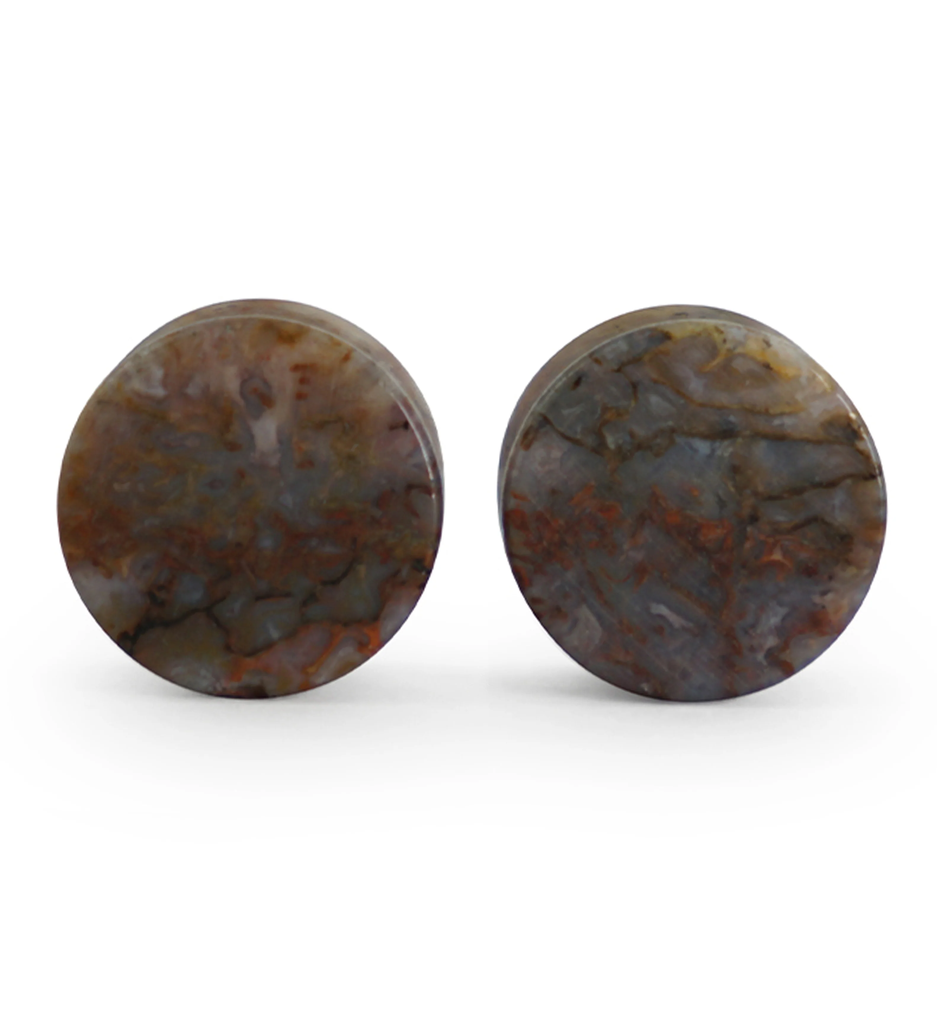 Fossilized Dinosaur Bone Plugs 3-4