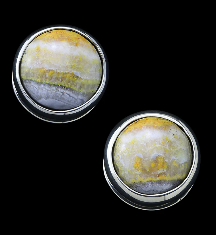 Bumblebee Jasper Stone Disk White Brass Ear Weights - Mrs Treak