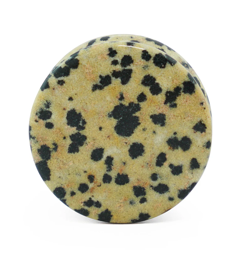Dalmatian Jasper Stone Plugs - Mrs Treak