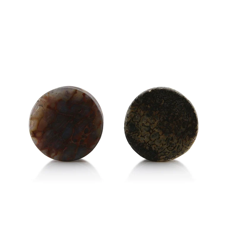 Fossilized Dinosaur Bone Plugs 9/16