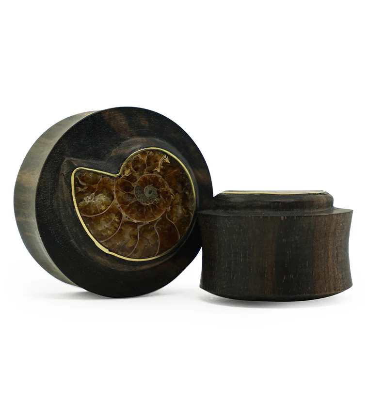 Areng Wood Plugs with Ammonite Inlay - Mrs Treak