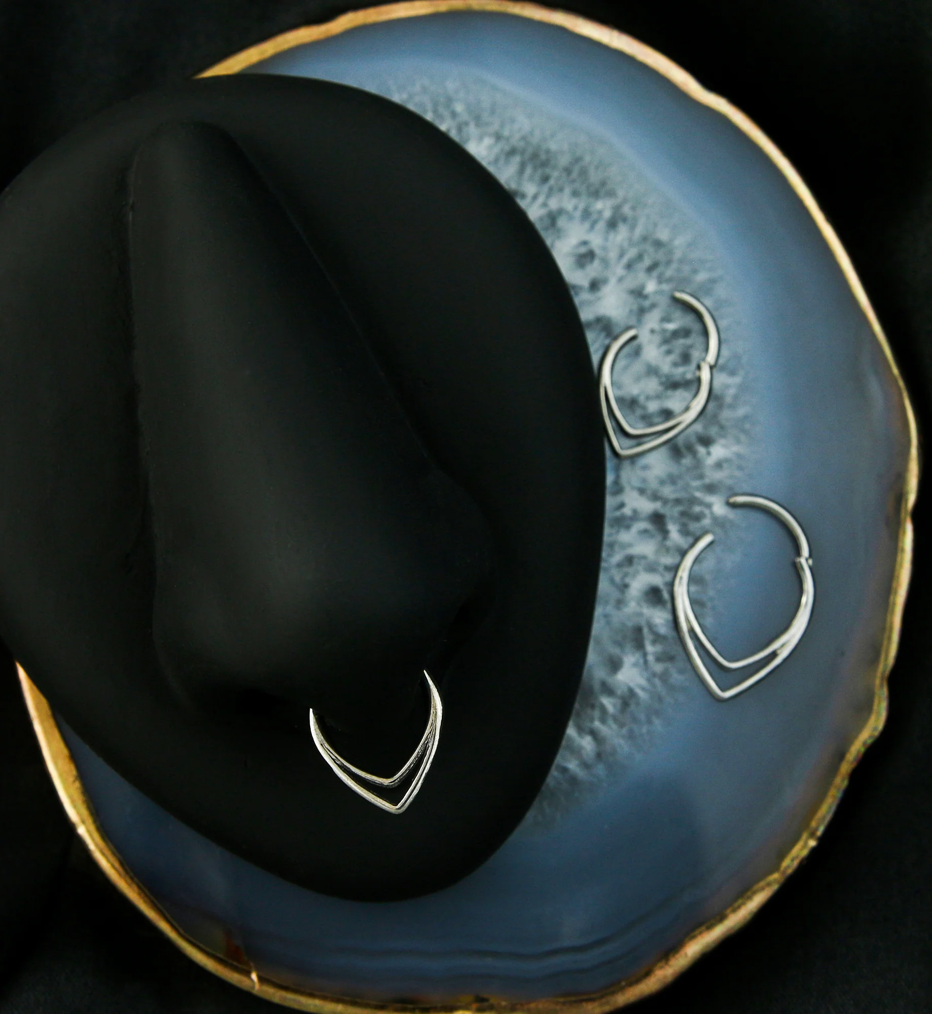 Double Lined Teardrop Titanium Hinged Segment Ring - Mrs Treak