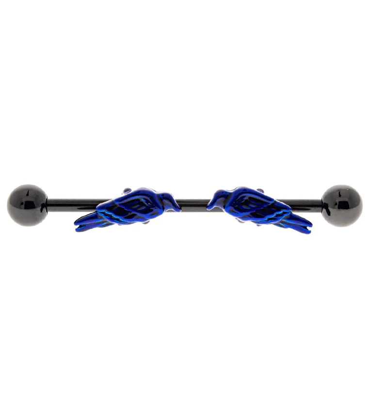Raven Black & Blue Industrial Barbell - Mrs Treak