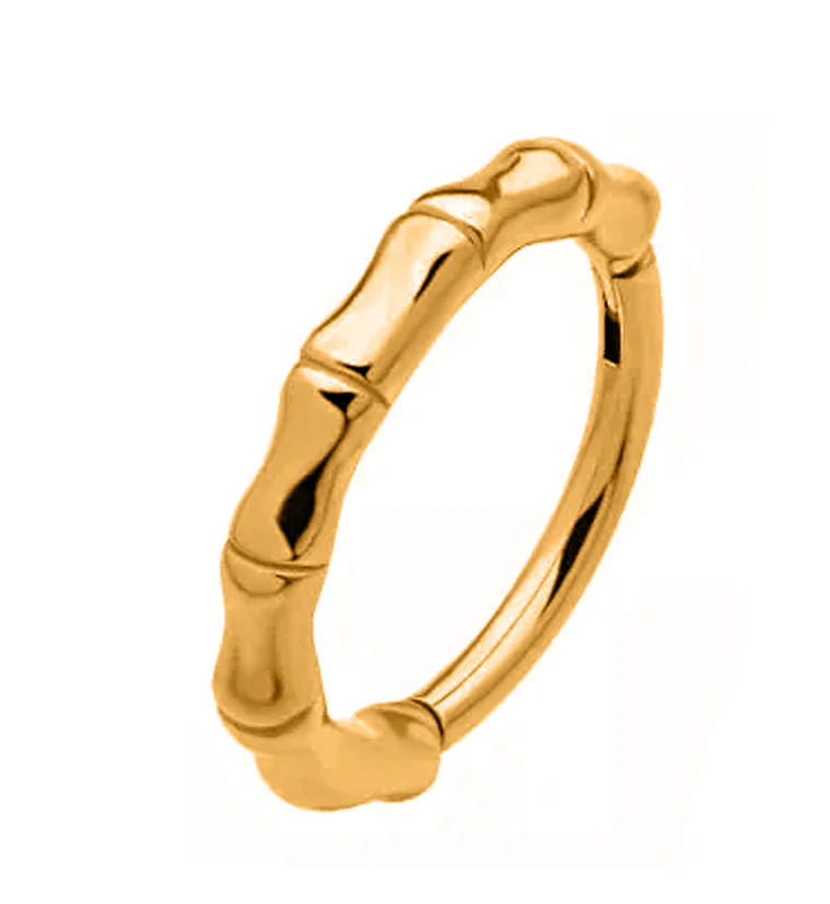 Gold PVD Bracket Stainless Steel Hinged Segment Ring - Mrs Treak