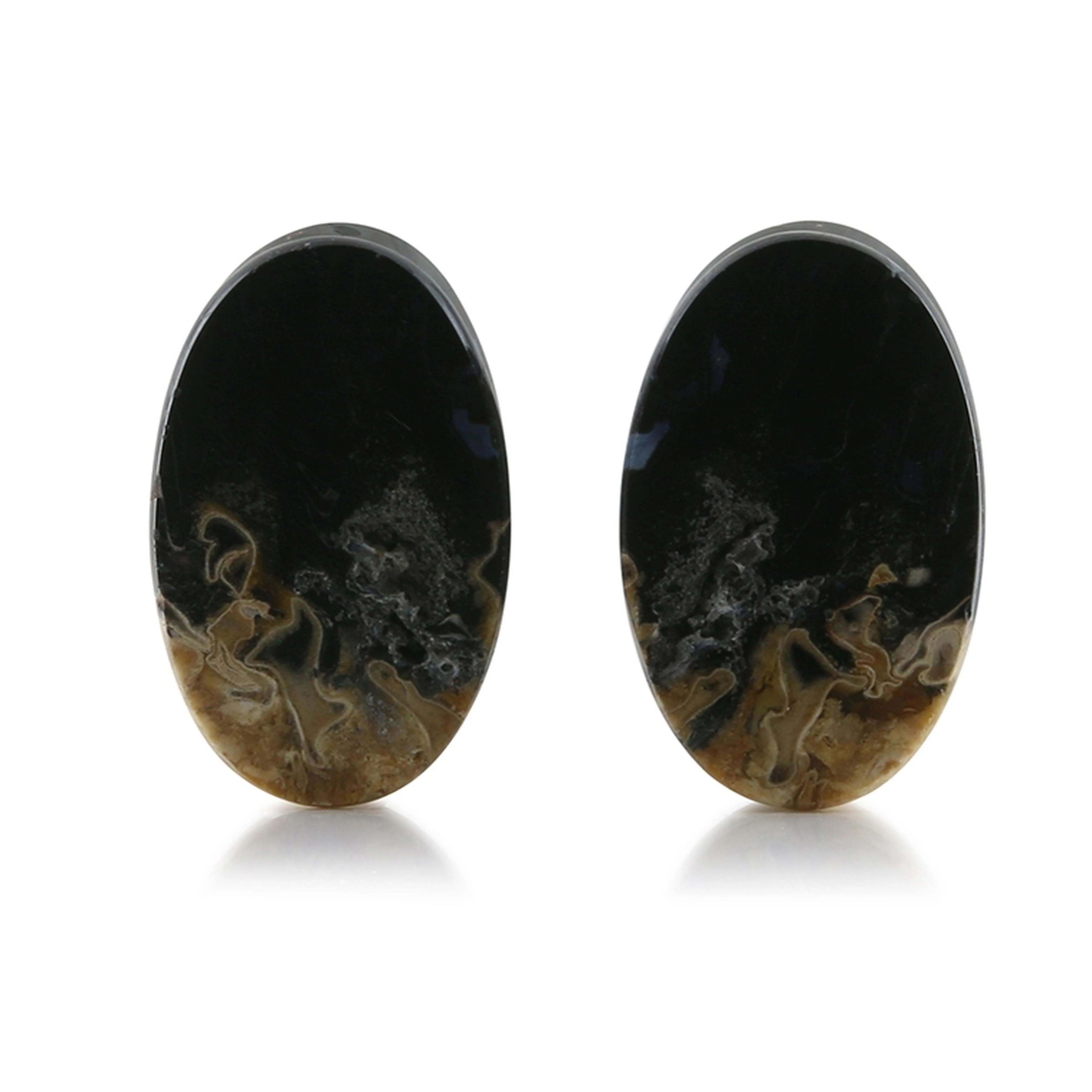 Petrified Palm Root Stone Oval Plugs (23.5mm) - Mrs Treak
