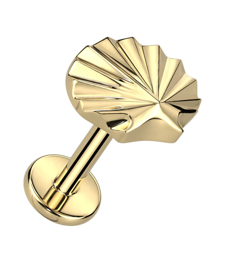 Gold PVD Seashell Titanium Internally Threaded Labret - Mrs Treak