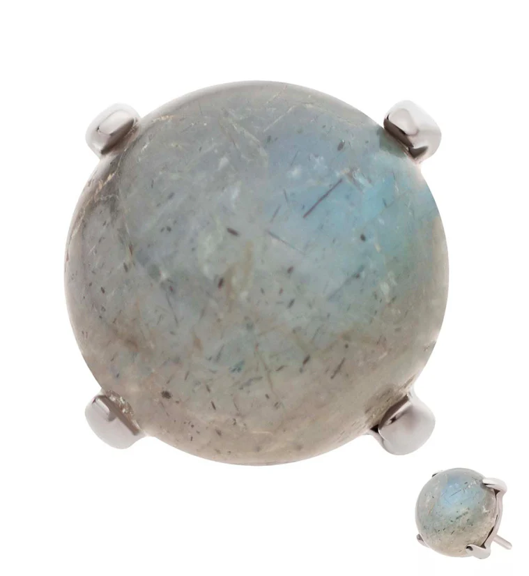 Prong Labradorite Stone Titanium Threadless Top - Mrs Treak