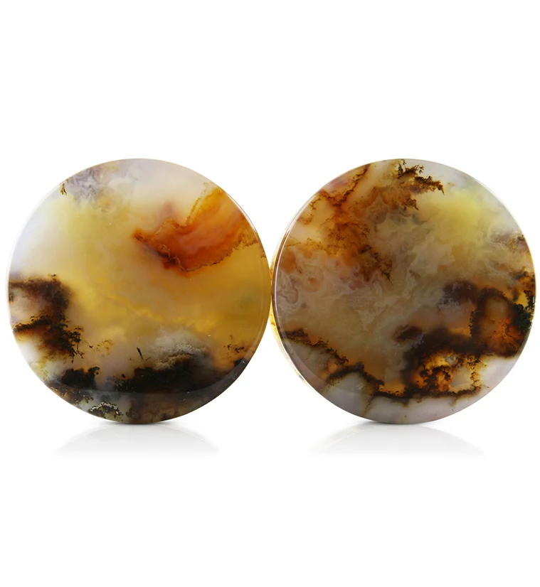 Graveyard Point Plume Agate Stone Plugs 1 Inch (25mm) Version 6 - Mrs Treak