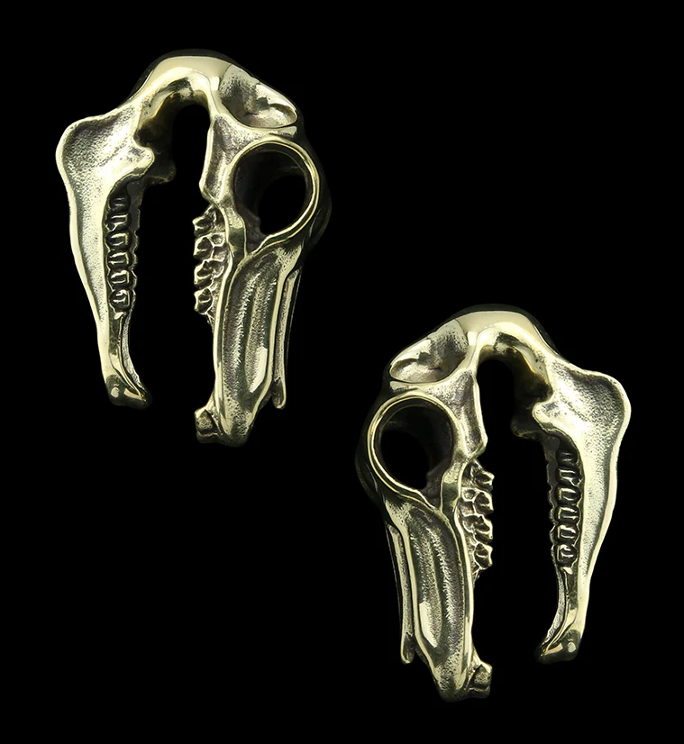 Equestrian Skull Brass Ear Weights - Mrs Treak