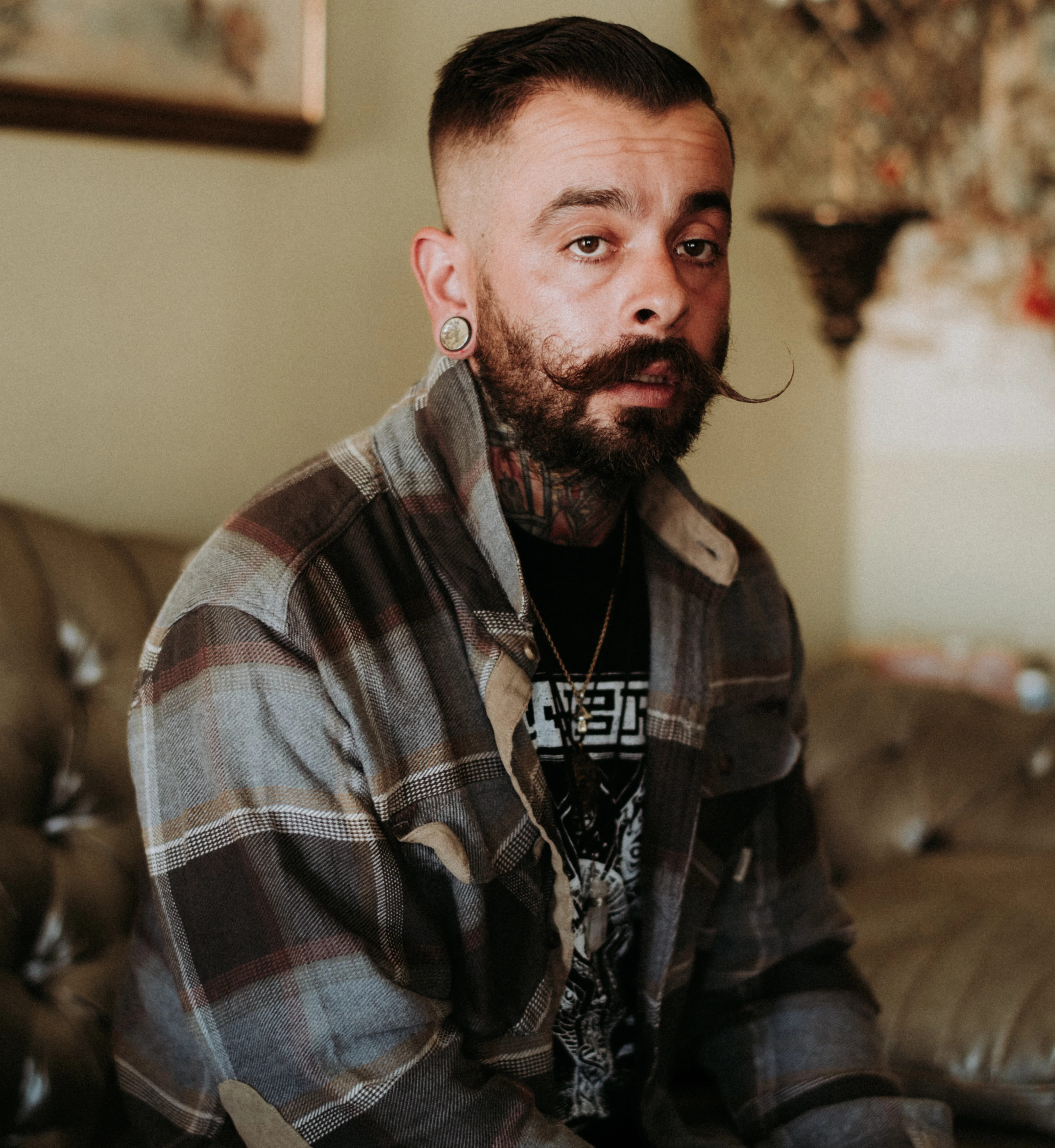 Hammered White Brass Inlay Areng Wood Plugs - Mrs Treak