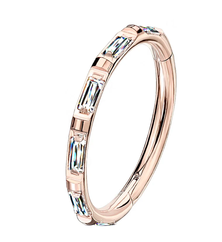 Gullion CZ Rose Gold PVD Titanium Hinged Segment Ring - Mrs Treak
