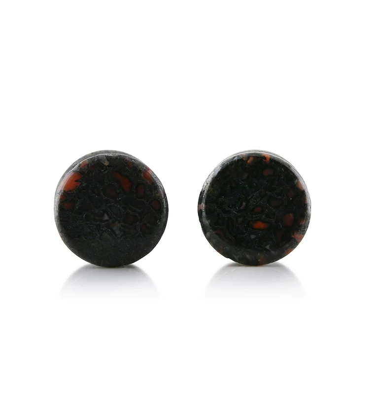 Fossilized Dinosaur Bone Plugs 1-2