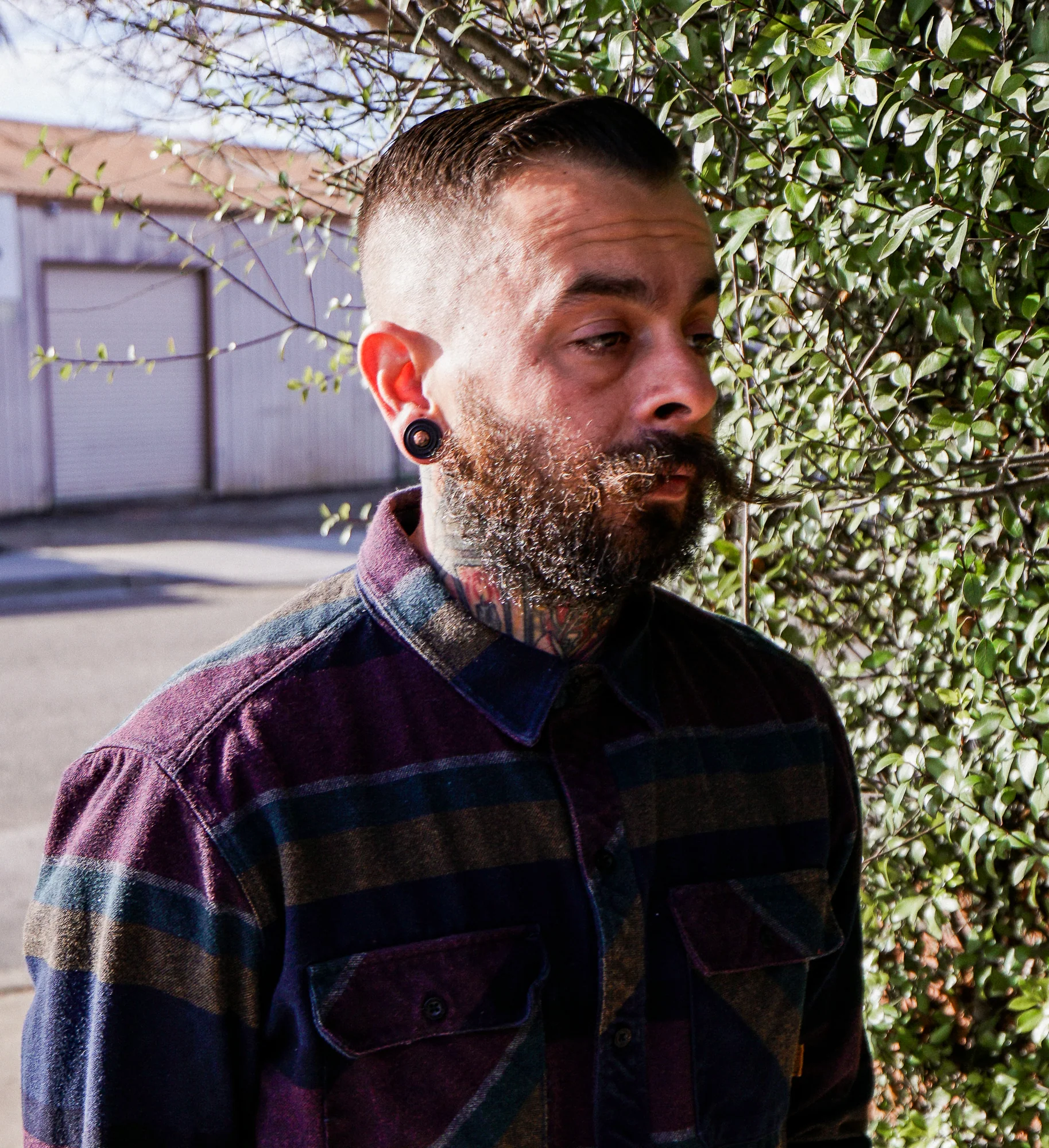 Ecliptic Areng Wood Plugs With Leopard Jasper Stone Inlay - Mrs Treak