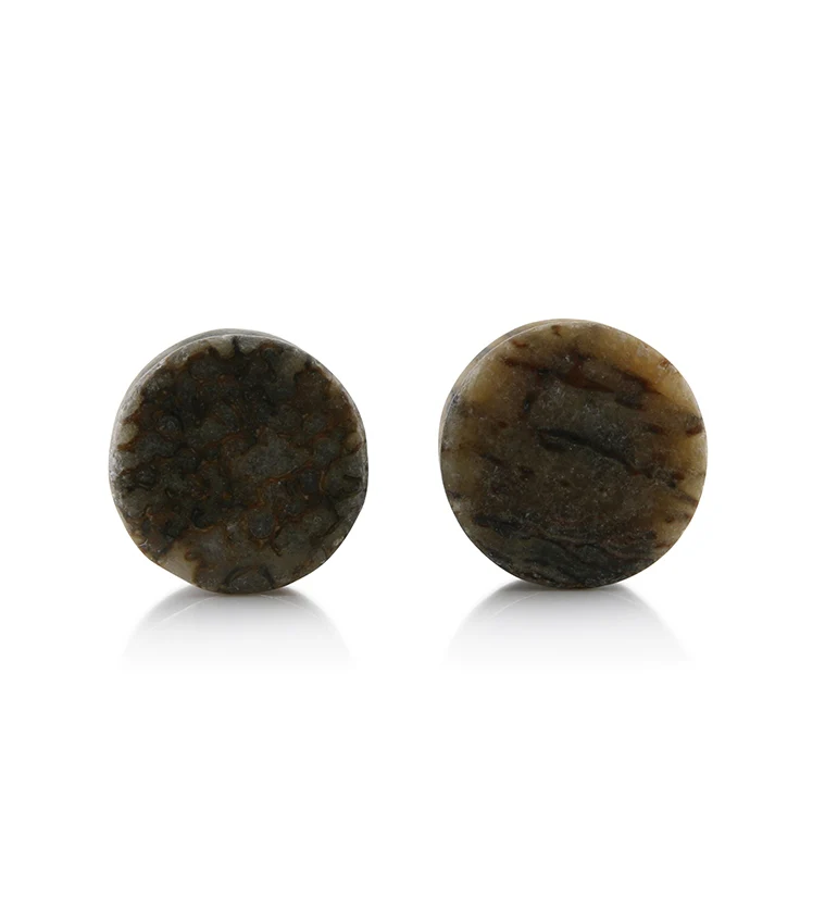 Fossilized Dinosaur Bone Plugs 9/16