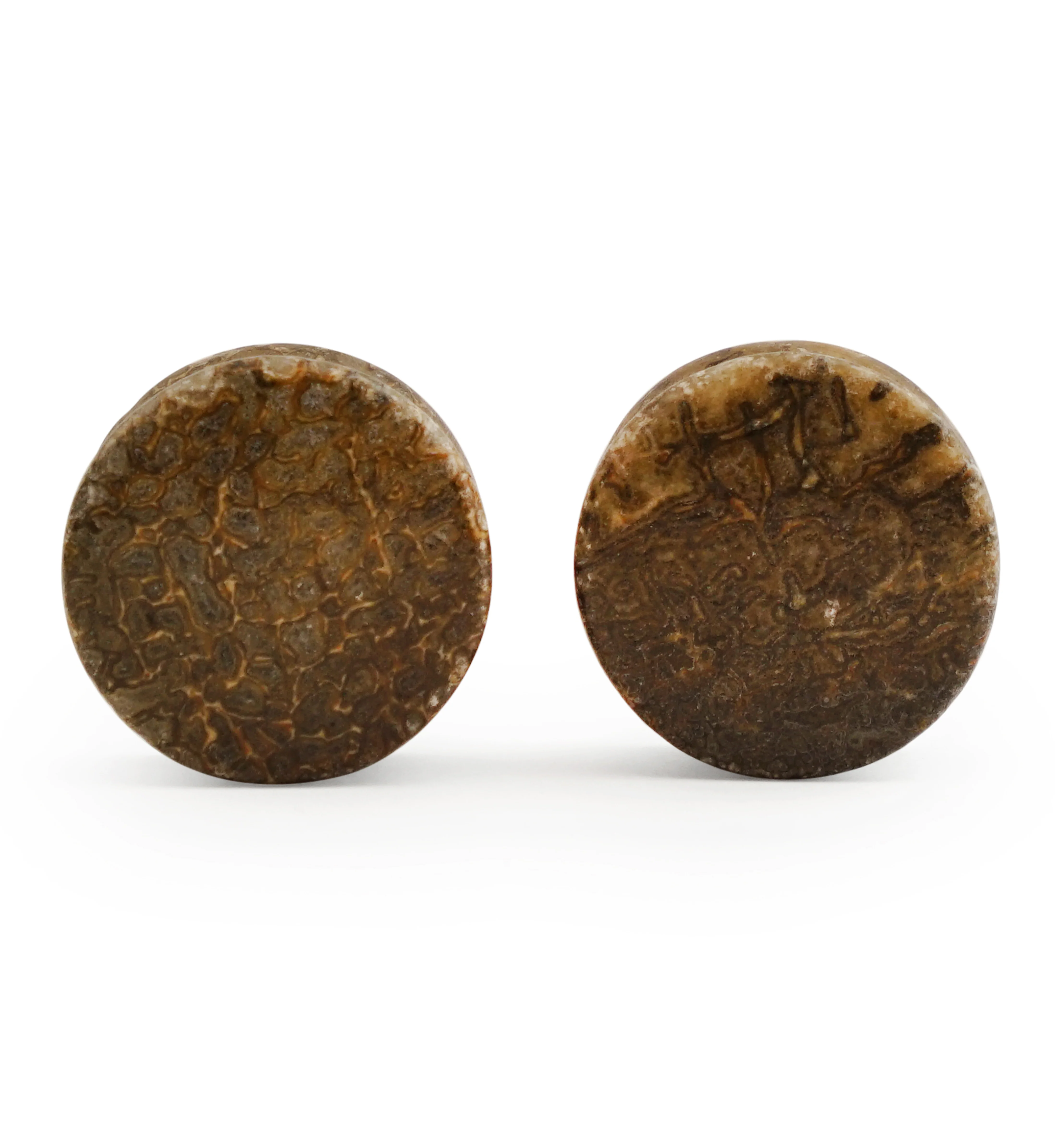 Fossilized Dinosaur Bone Plugs 3-4