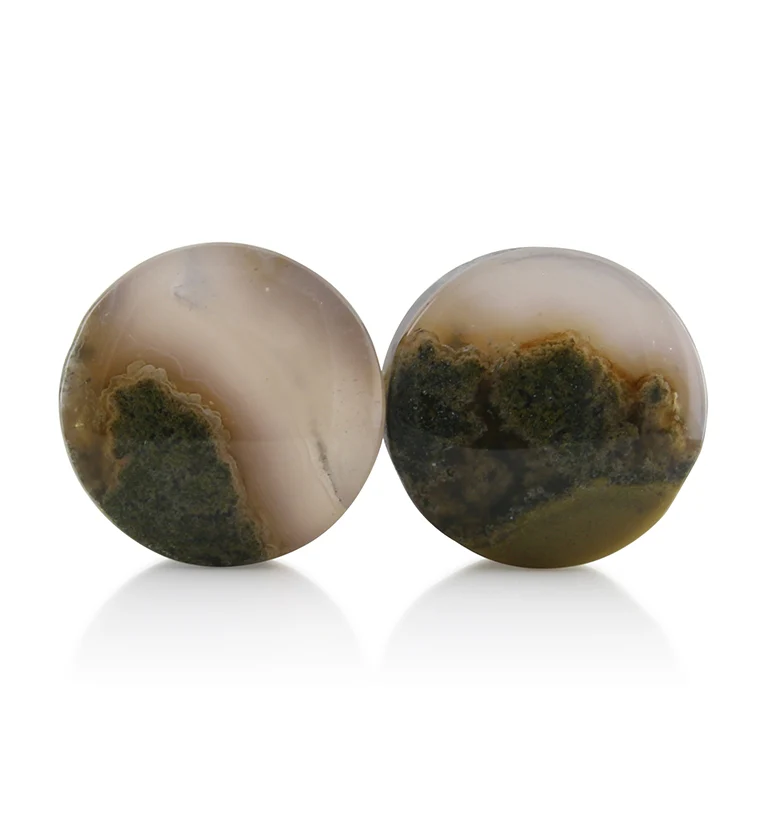 Blue Forest Petrified Wood Plugs 3-4 inch (19mm) Version 1 - Mrs Treak