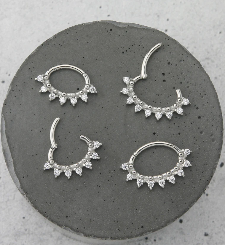 Ellipse CZ Hinged Segment Ring - Mrs Treak