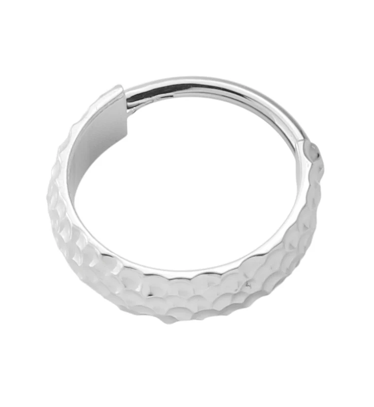 Hammered Titanium Hinged Segment Ring - Mrs Treak