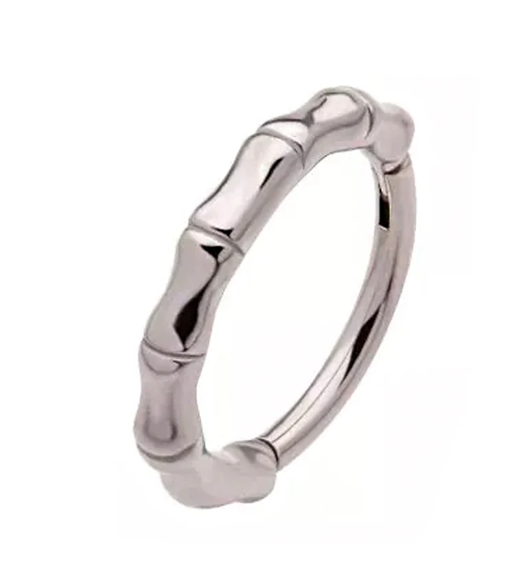 Bracket Stainless Steel Hinged Segment Ring - Mrs Treak