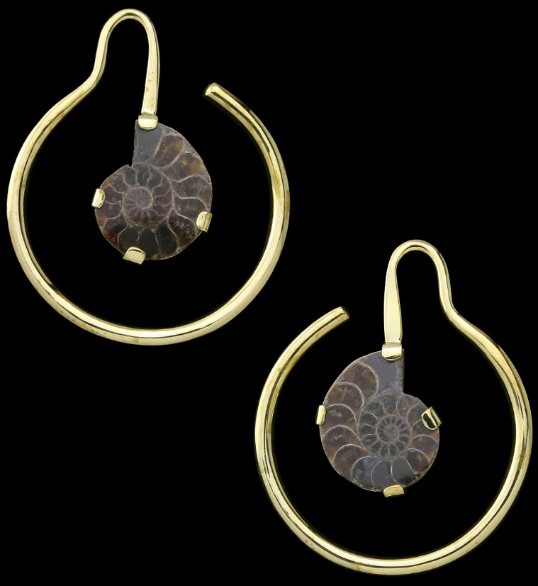Drop Ammonite Fossil Ear Weights - Mrs Treak
