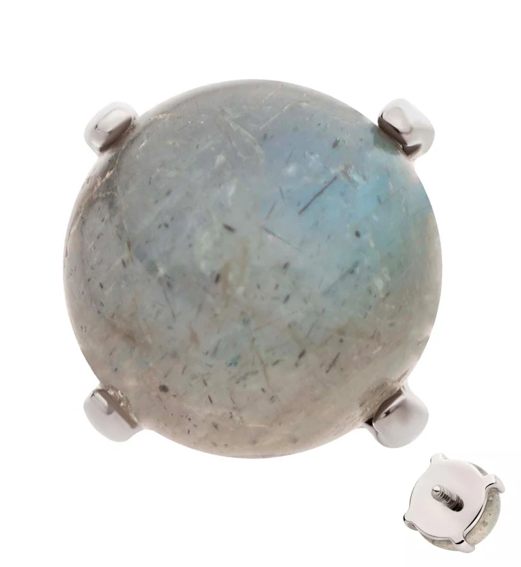 Prong Labradorite Stone Titanium Internally Threaded Top - Mrs Treak