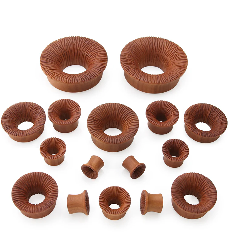 Score Saba Wood Mayan Flare Tunnel Plugs - Mrs Treak