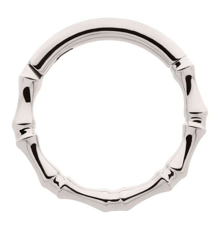Copula Titanium Hinged Segment Ring - Mrs Treak