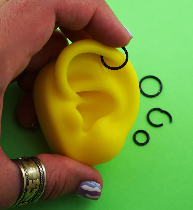 Black PVD Faceted Front Stainless Steel Hinged Segment Ring - Mrs Treak