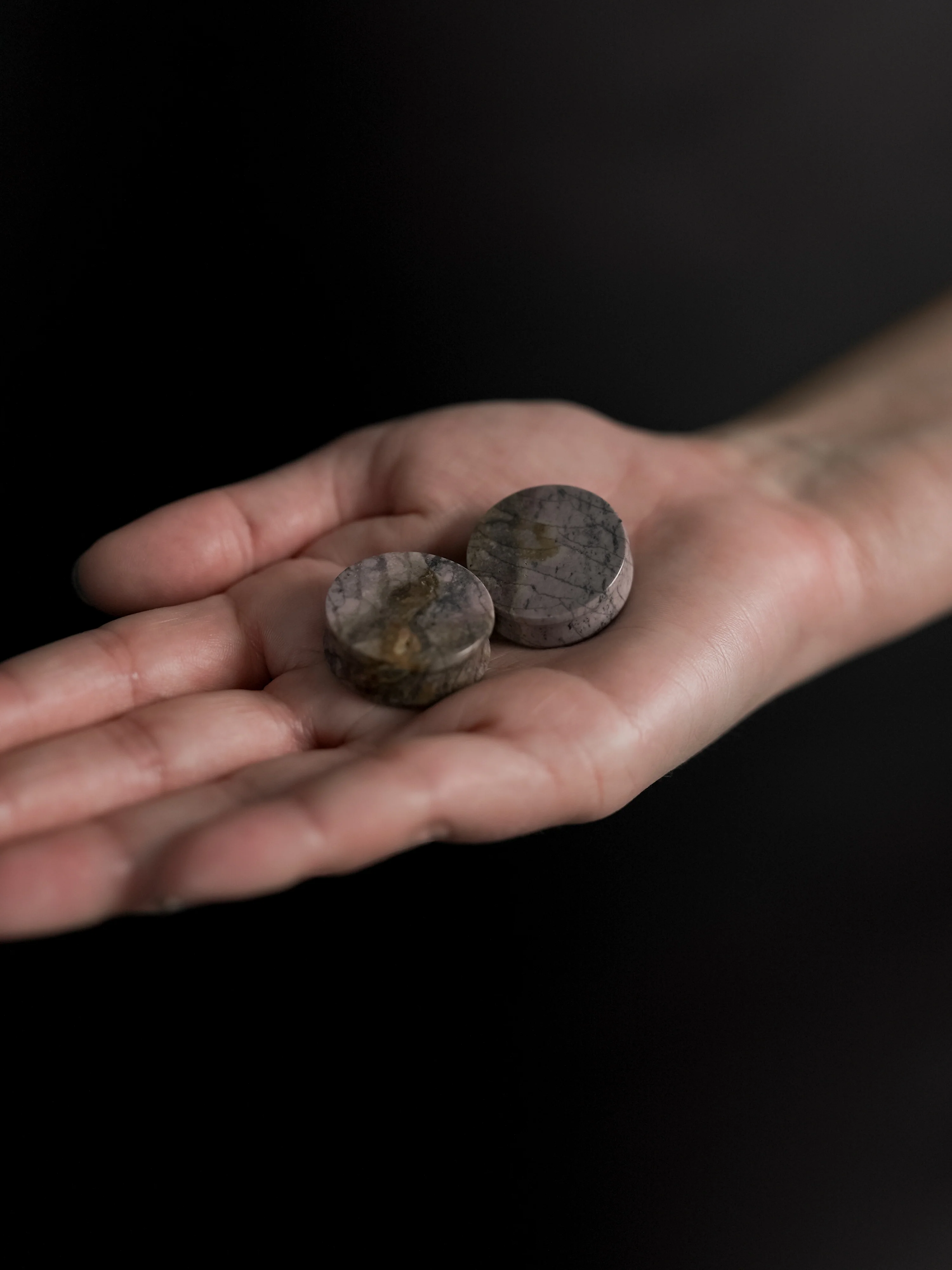 Willow Creek Jasper Stone Plugs - Mrs Treak