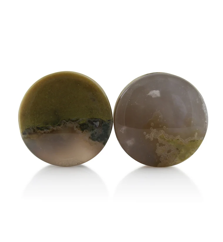 Blue Forest Petrified Wood Plugs 3-4 inch (19mm) Version 2 - Mrs Treak